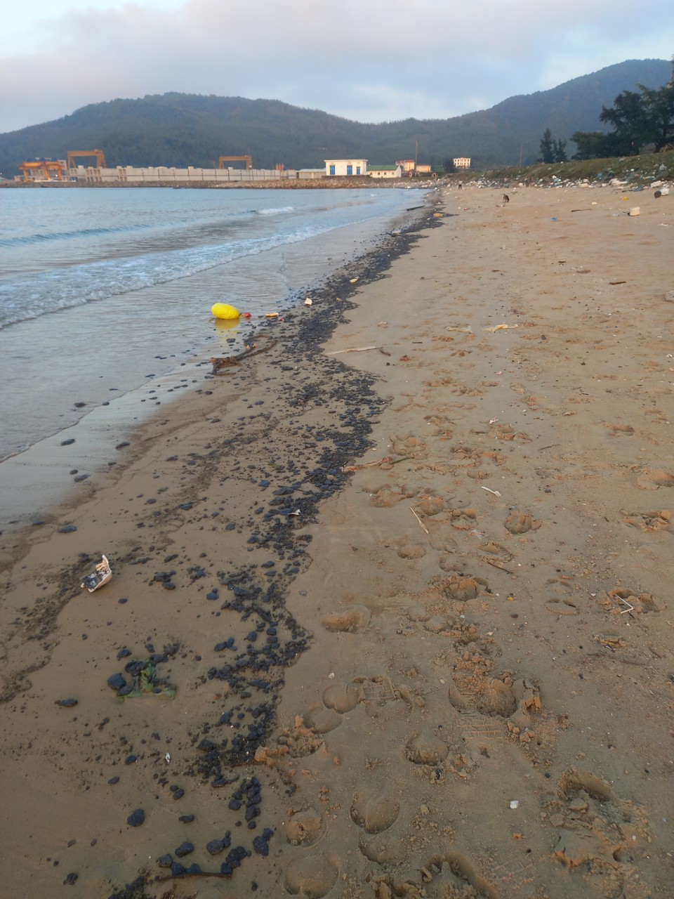 Phát hiện dầu hắc vón cục ở bờ biển Hà Tĩnh